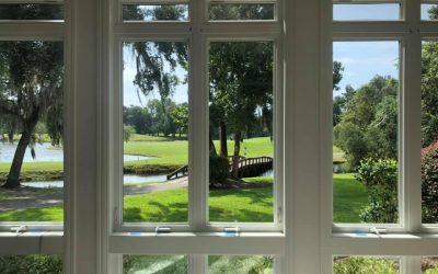 8 - Residential Application - Home backyard windows